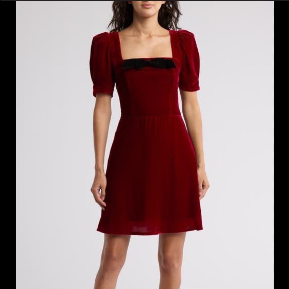 WAYF Burgundy Velvet Mini Dress